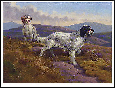 English Setter Dogs In Moorland Setting Vintage Style Dog Art Print Poster